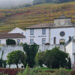 Photo taken by Laura R