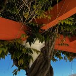 Photo taken by Dee C