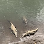 Photo taken by Karen P