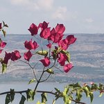 Photo taken by Marion M