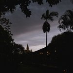 Photo taken by Terrence Y