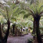 Photo taken by Rosemary S