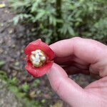 Photo taken by Hannah S