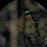 Photo taken by Kiko S