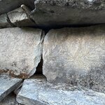 Photo taken by Willow K