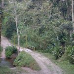 Photo taken by Graeme W