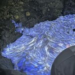 Photo taken by Dixie W