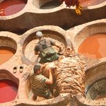 null | Photo taken by Wayne P