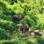 Photo taken by Chinwe O