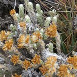 Photo taken by Kristin M