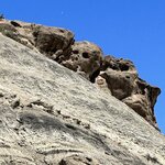 Photo taken by Randall D