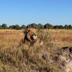 Photo taken by Tom B