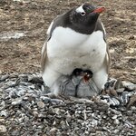 Photo taken by Raghu V