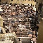 Photo taken by Paula H