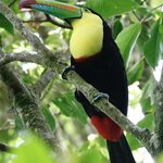 Photo taken by Joyce C