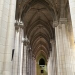 Photo taken by Steven C