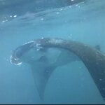 Photo taken by Spencer S