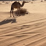 Photo taken by Daniela G