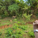 Photo taken by Tanya G