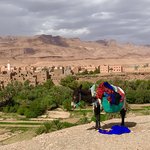 Desert transport  | Photo taken by Rod K