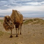 Photo taken by Manzurur K