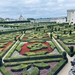 Photo taken by Queenie C