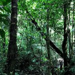 La Selba | Photo taken by Sophie E