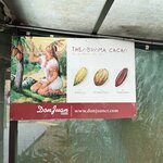 Photo taken by Joyce C