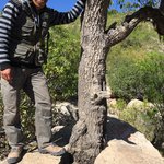 Our guide & the unbreakable tree | Photo taken by Darina B