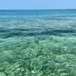 Photo taken by Todd M