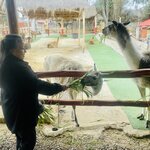 Photo taken by Grace J