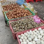 Photo taken by Lindy S