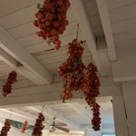 Photo taken by Judi W