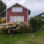 Photo taken by Mitzi F