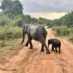 Photo taken by Jana W