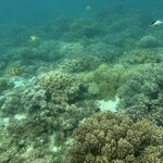 Photo taken by paul c