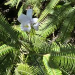 Photo taken by Jaya C