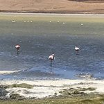 Laguna Cañapa | Photo taken by Alfredo H