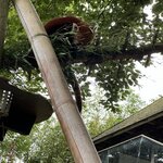 Photo taken by Jill B