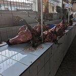 Photo taken by Tara T