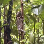 Photo taken by katie u