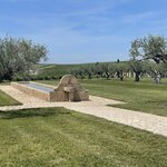 Photo taken by Martine B