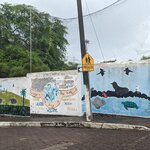 Photo taken by mimi s