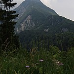 Photo taken by Shree L