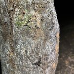 Photo taken by Patrice G