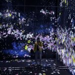 Photo taken by Abdul A