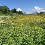 Photo taken by Eleanor S