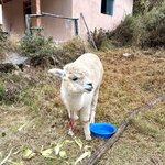 Photo taken by Melanie M