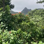 Photo taken by john b