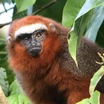 Photo taken by Ann F